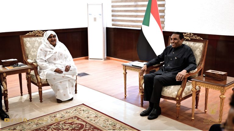 *رئيس الوزراء يطلع على خطة وزارة الصناعة والتجارة لتوطين الصناعات وتنمية الصادرات*
